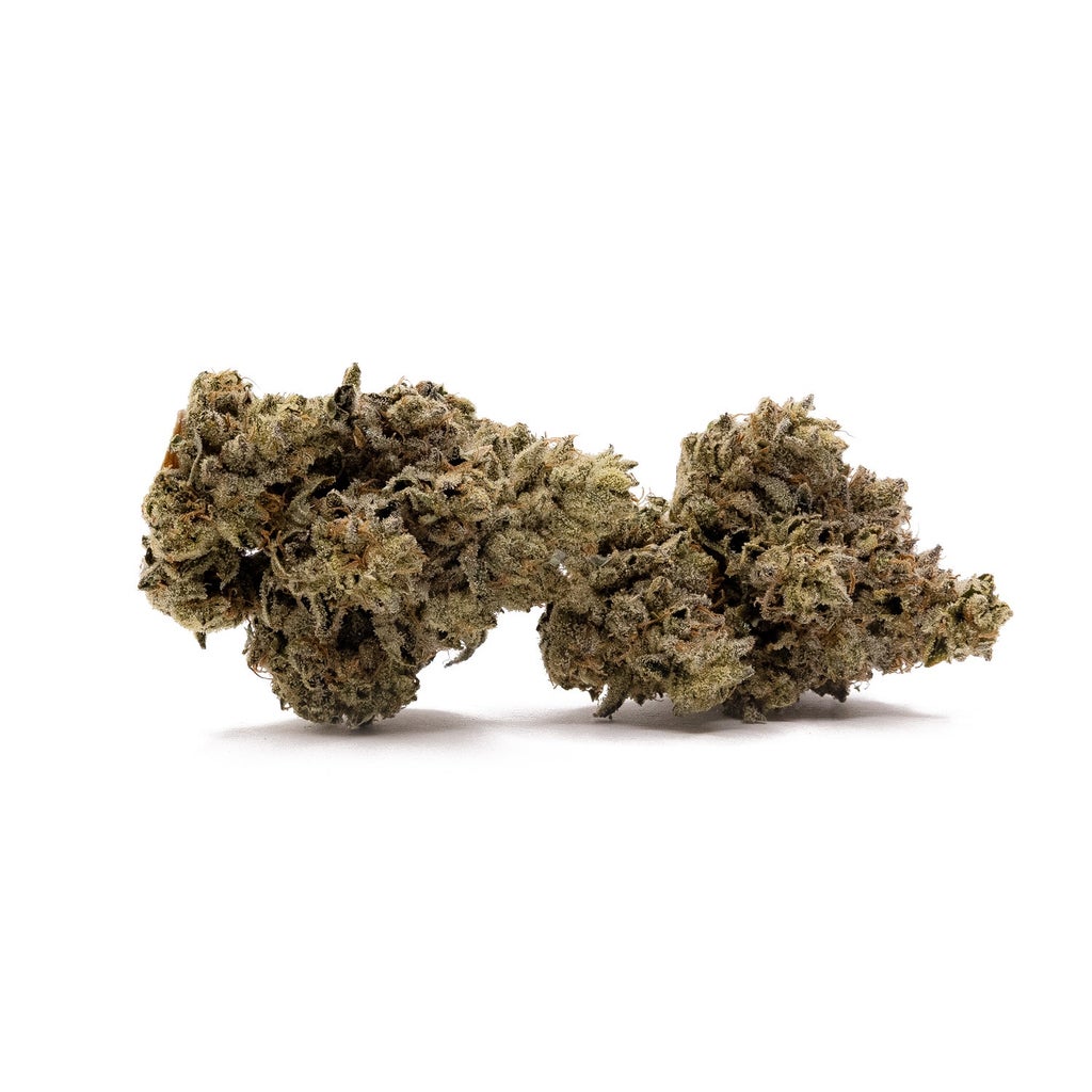 Albatross - Hitman OG