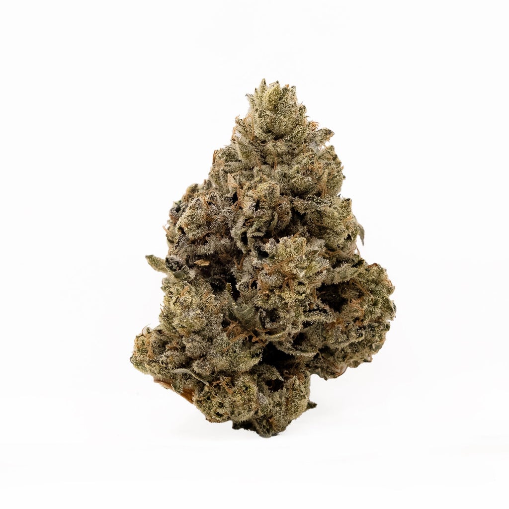 Albatross - Hitman OG