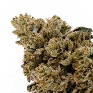 Albatross - Hitman OG - Image 4