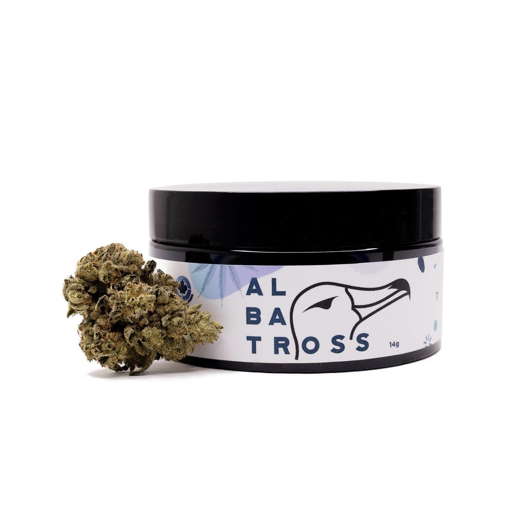Albatross - Hitman OG