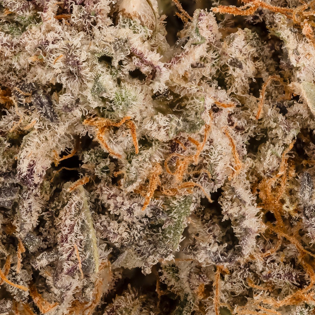 Cream Of The Crop - Oreoz