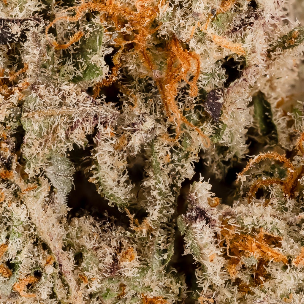 Cream Of The Crop - Platinum Gushers