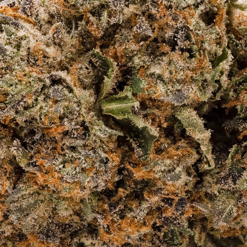 Lucky Farms - Rockstar