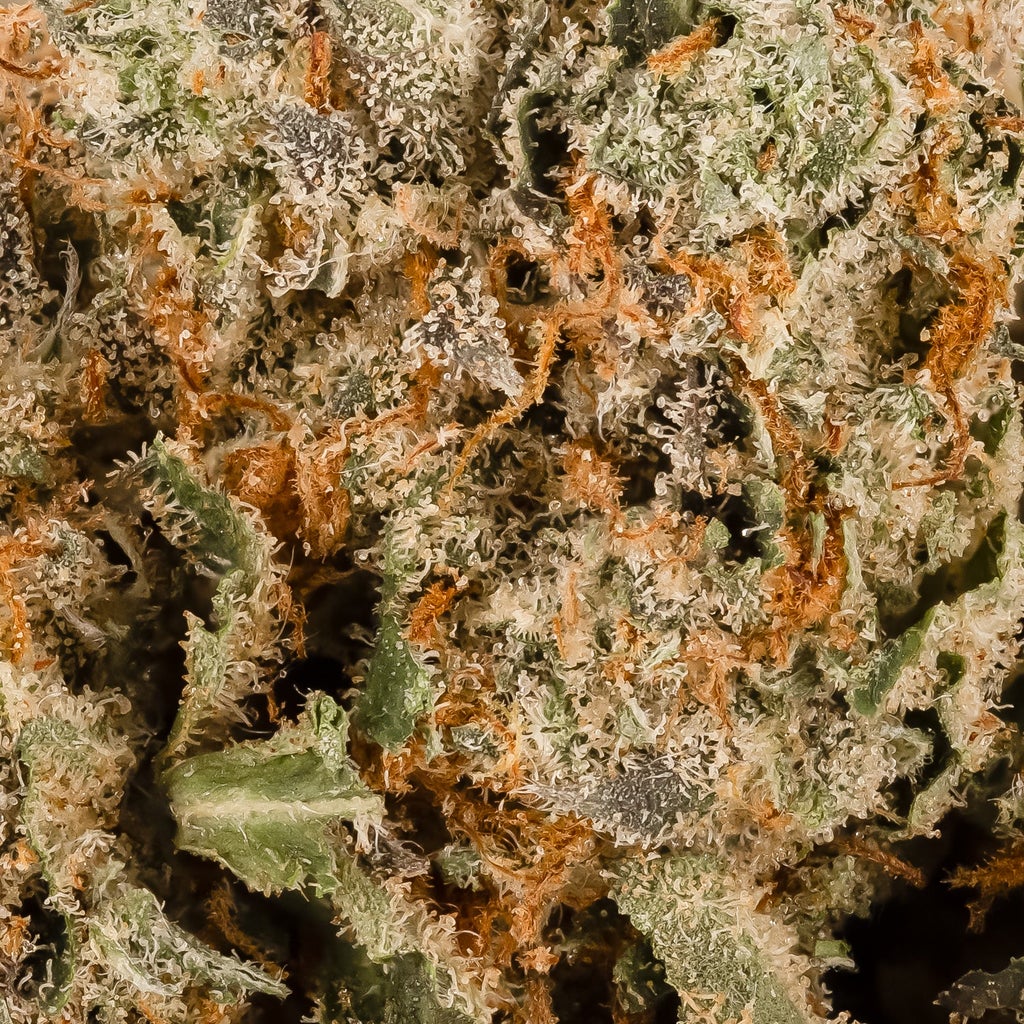 Lucky Farms - Rockstar