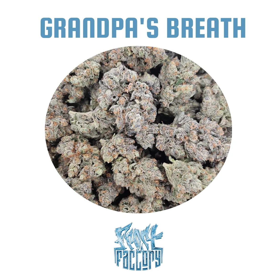 Frost Factory - Cold Cured Quads (14g) - Image 12