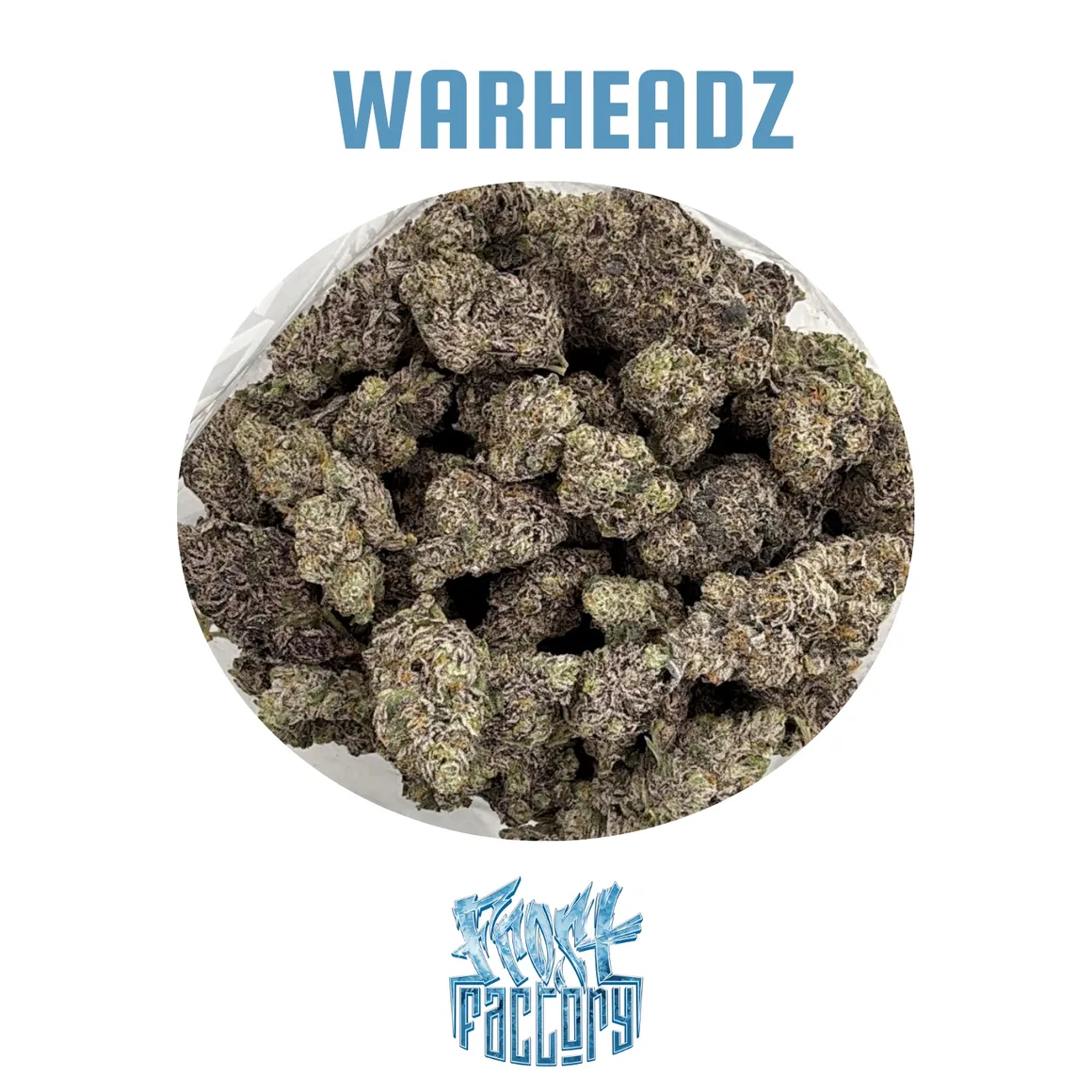 Frost Factory - Cold Cured Quads (14g) - Image 14