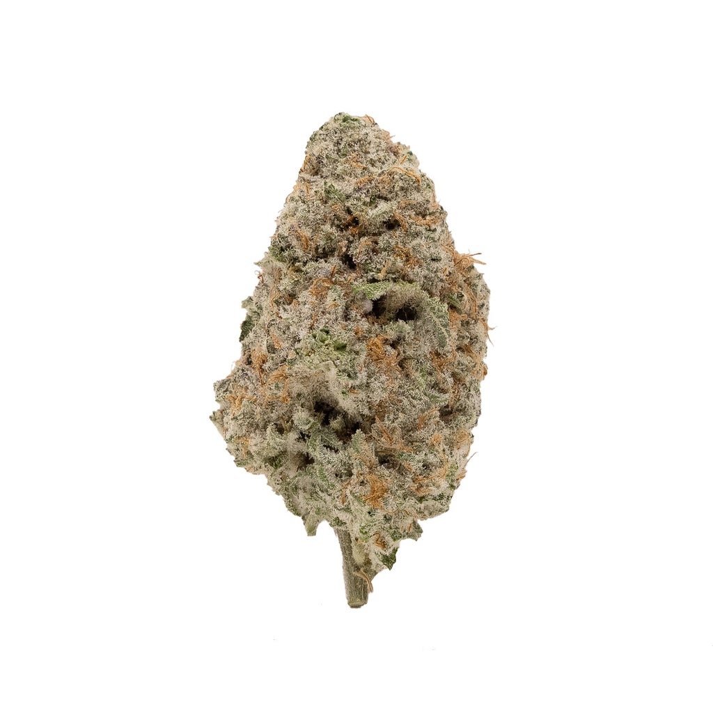 Jungle Ridge - Mac N Cookies