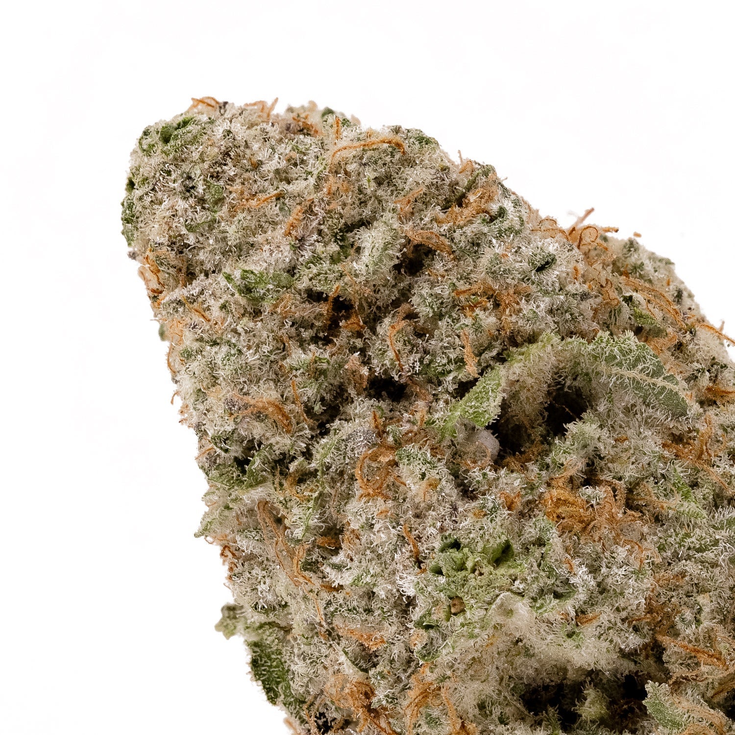 MacNCookies-04