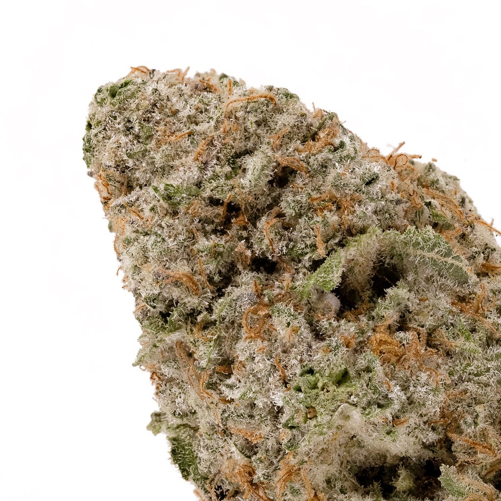 Jungle Ridge - Mac N Cookies