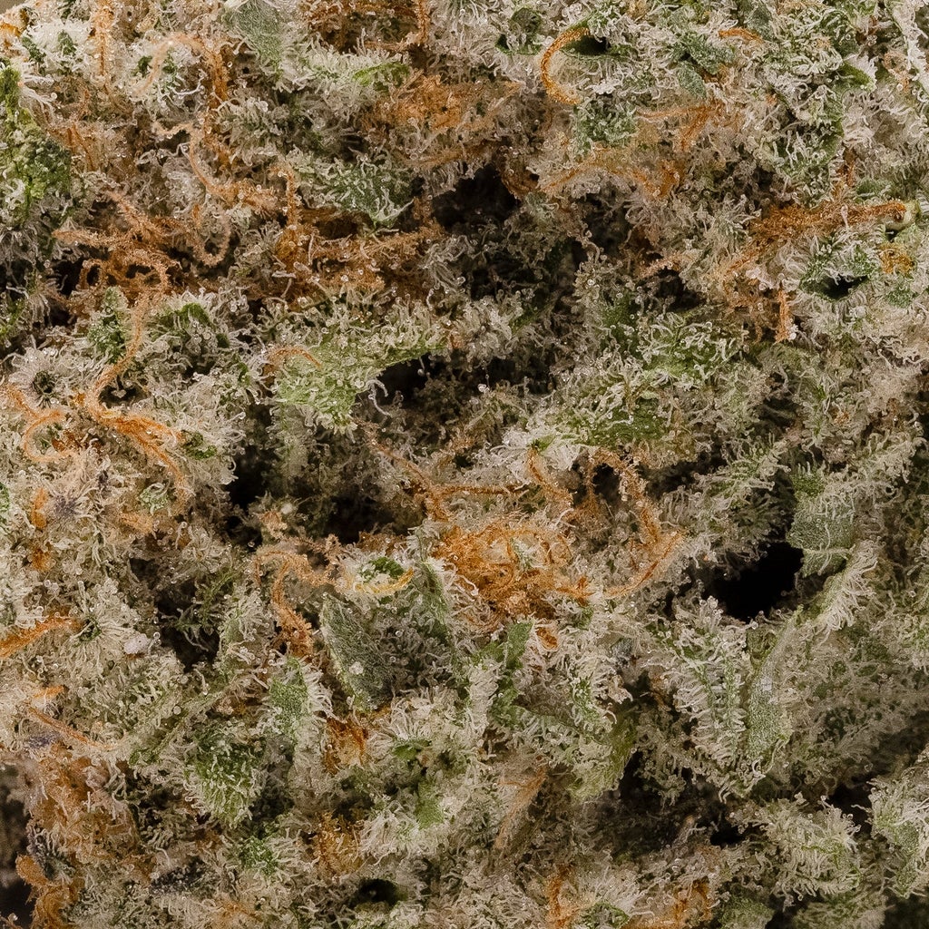 Jungle Ridge - Mac N Cookies