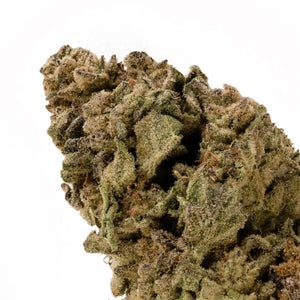 Dollar Treez - A-K - Image 2