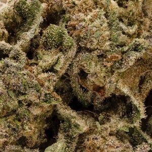 Dollar Treez - A-K - Image 6