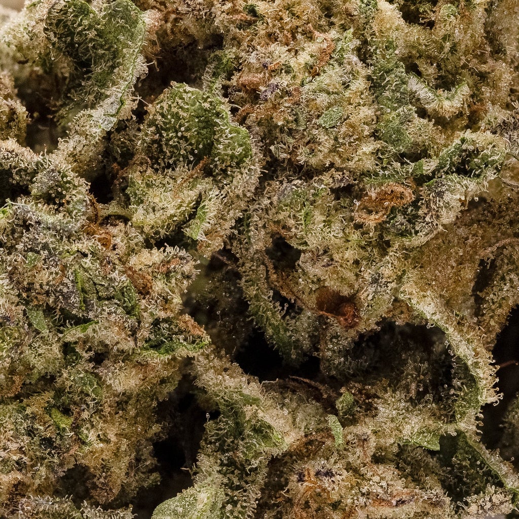 Dollar Treez - A-K