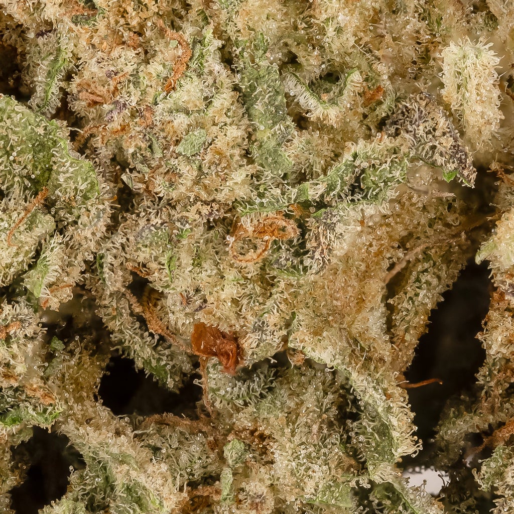 Dollar Treez - A-K