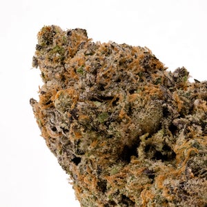 Jungle Ridge - Scotty 2 Hotty - Image 2