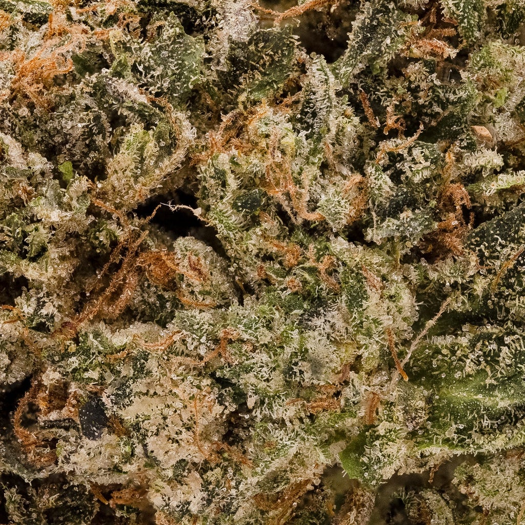 Jungle Ridge - Pre-98 Bubba Kush