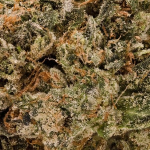 Jungle Ridge - Pre-98 Bubba Kush - Image 6