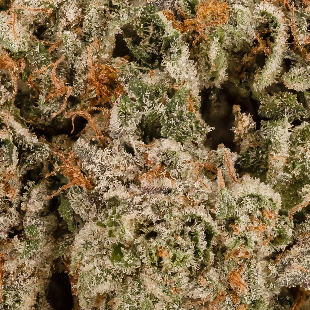 Jungle Ridge - Pre-98 Bubba Kush