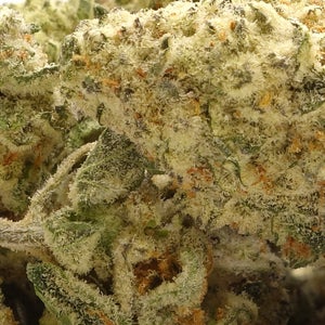 Lucky Farms - White Wedding (smalls) - Image 2
