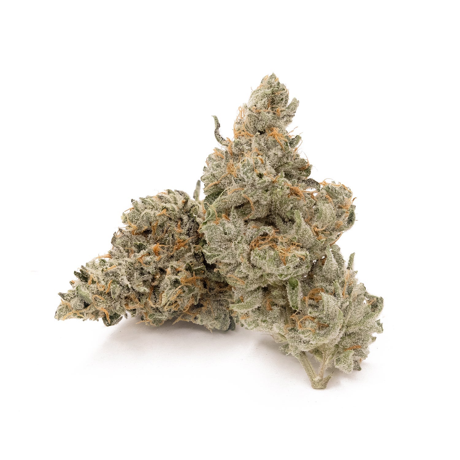 ZainbowSativaDominantHybrid-02