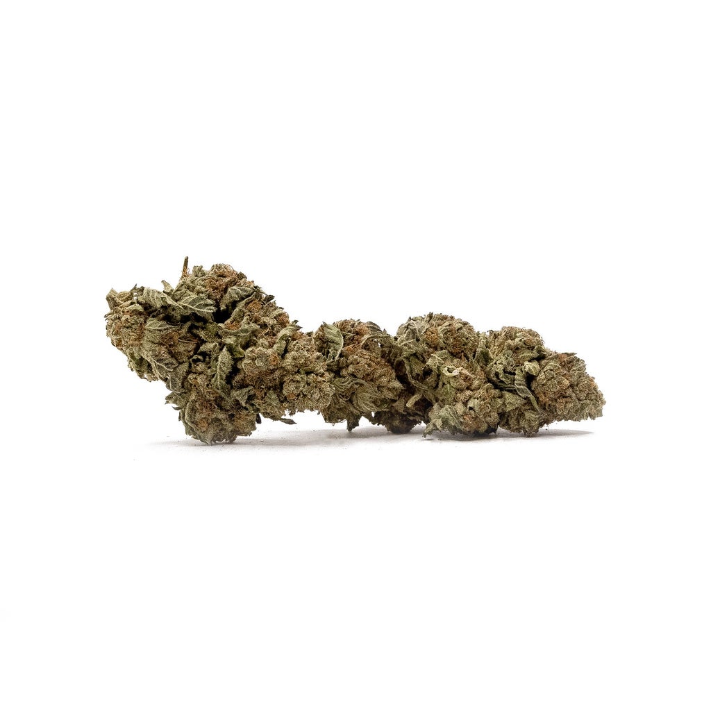 Dollar Treez - Black Domina