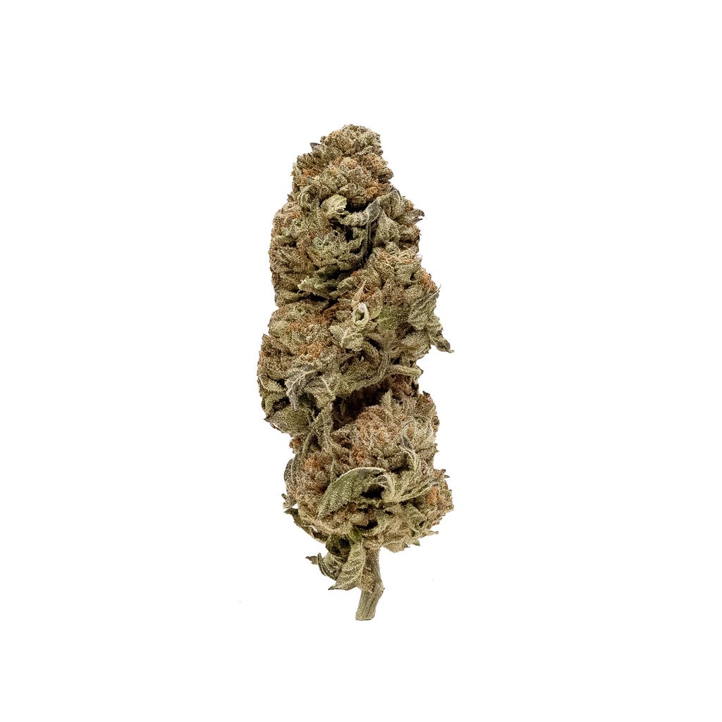 Dollar Treez - Black Domina