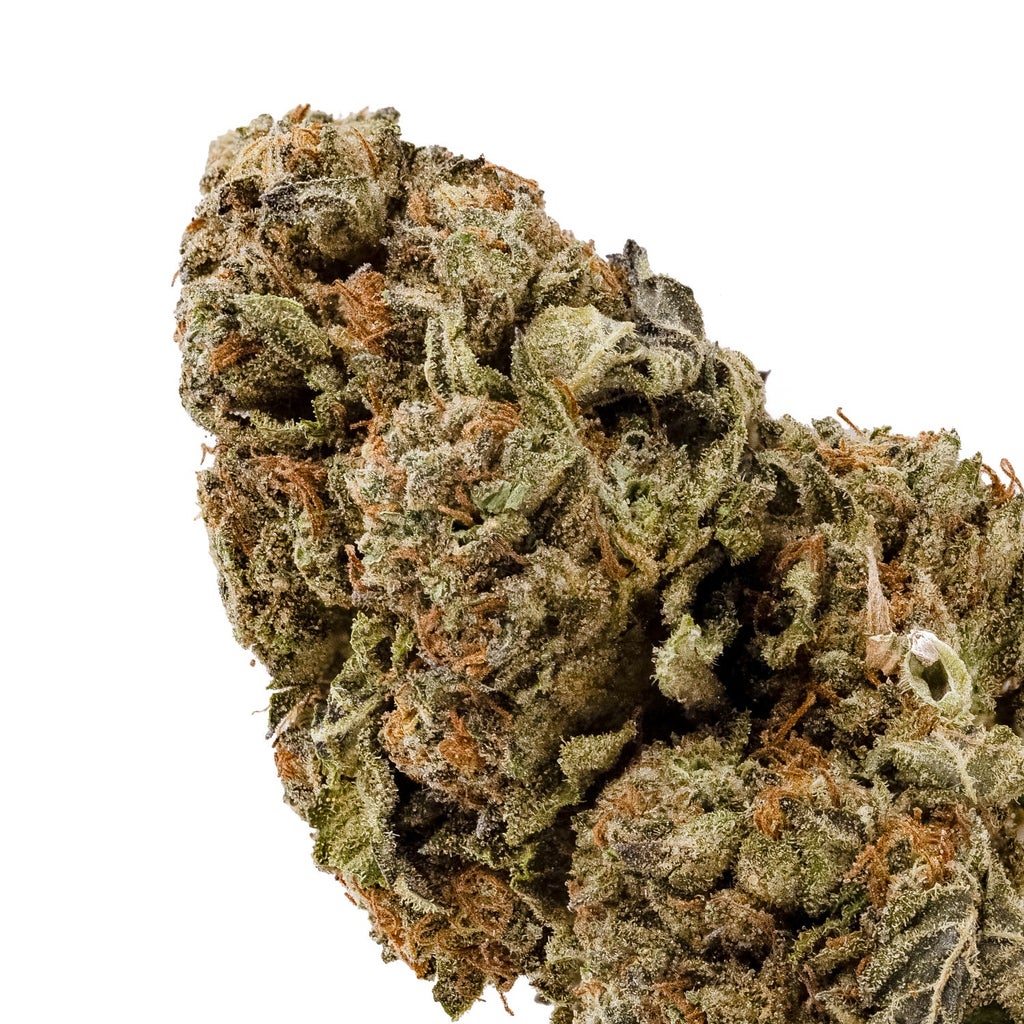 Dollar Treez - Black Domina