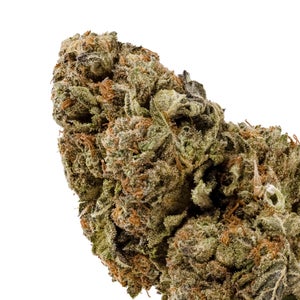 Dollar Treez - Black Domina - Image 2