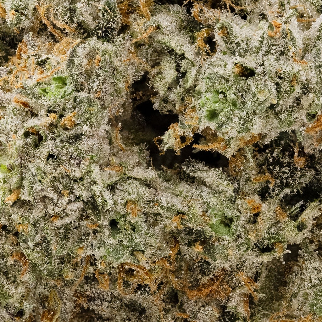 Hoot Cannabis - Purple Dragon
