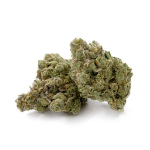 Hoot Cannabis - Cactus Haze - Image 3