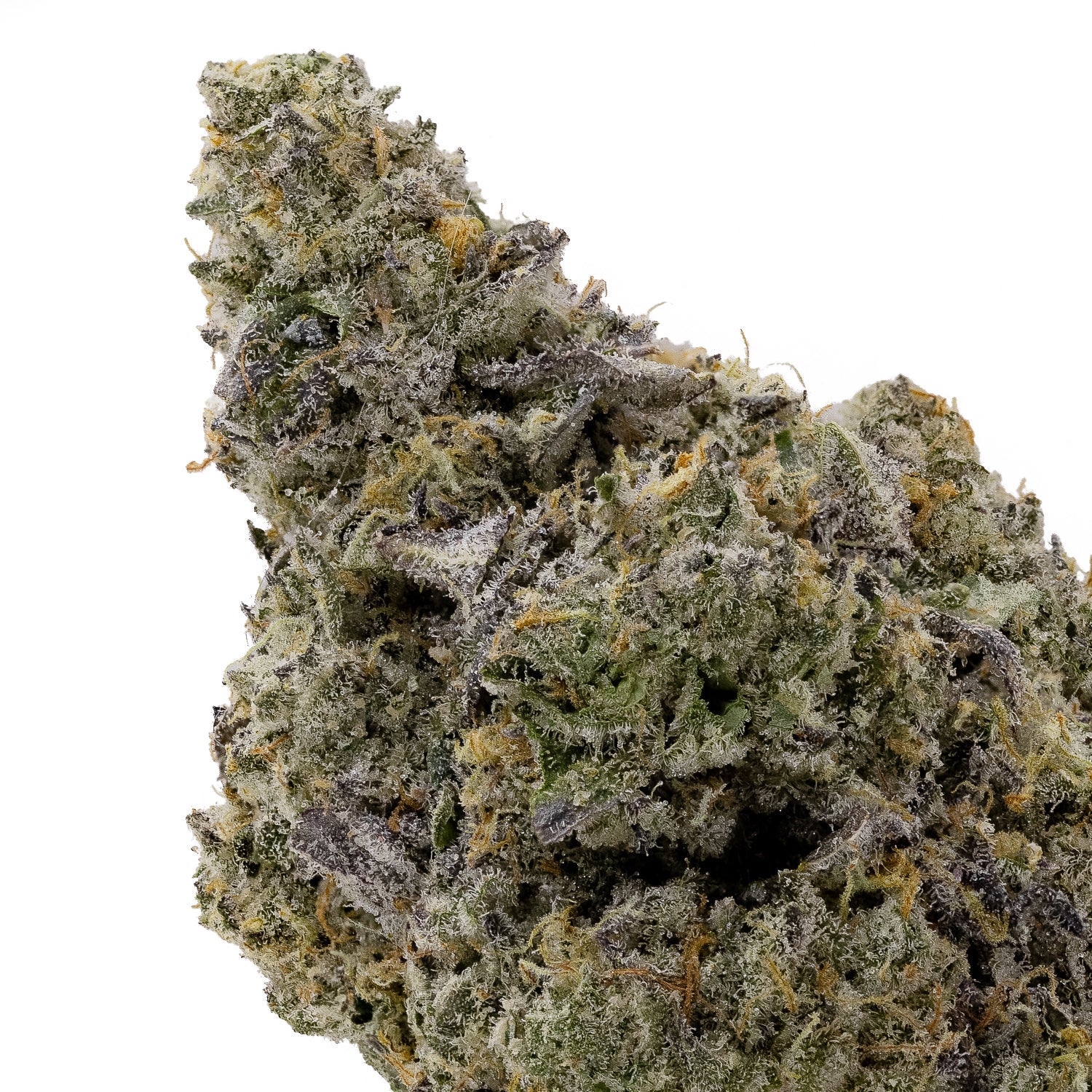 IceCreamCake-Hoot-04