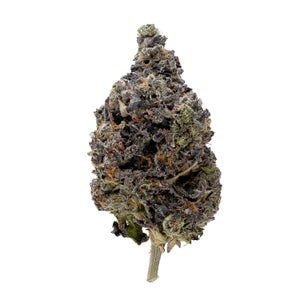 Hoot Cannabis - Jet Fuel Gelato - Image 2