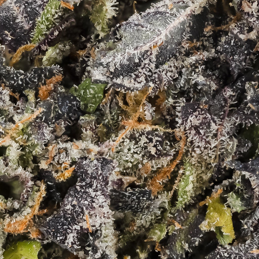 Hoot Cannabis - Jet Fuel Gelato