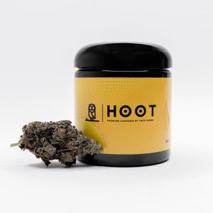 Hoot Cannabis - Jet Fuel Gelato - Image 1