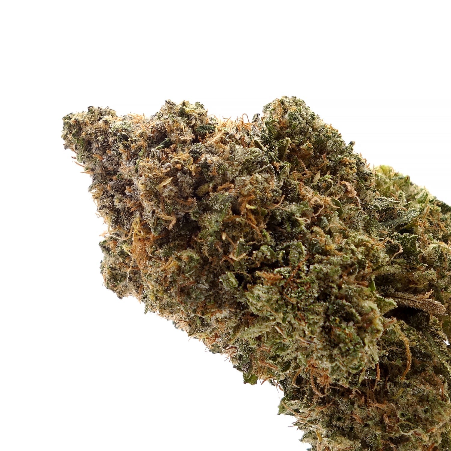 JungleRidge-Galactic-Gas-04