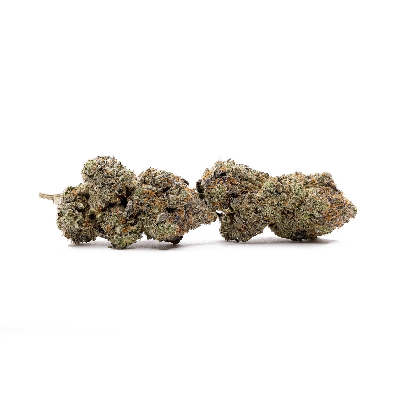 PineTarKush-Hoot-01