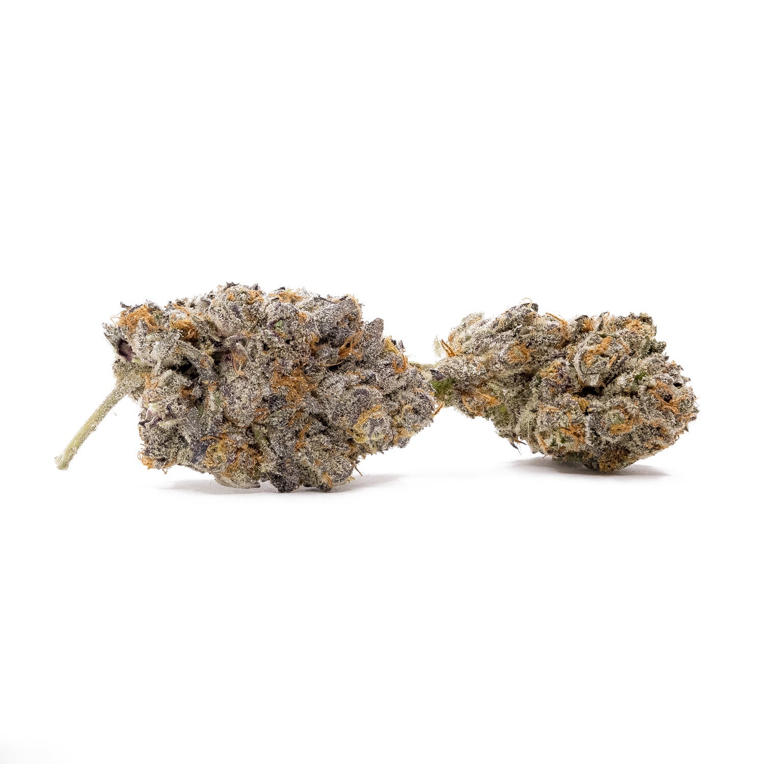 PineTarKush-Hoot-02