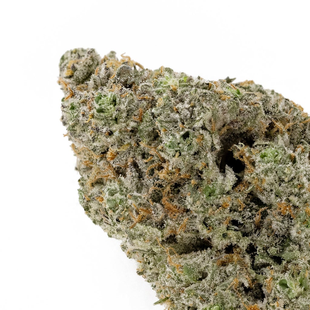 Hoot Cannabis - Purple Dragon