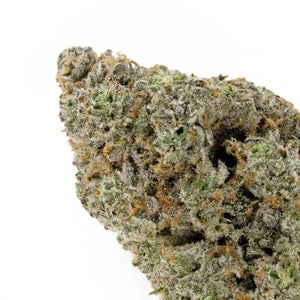 Hoot Cannabis - Purple Dragon - Image 5