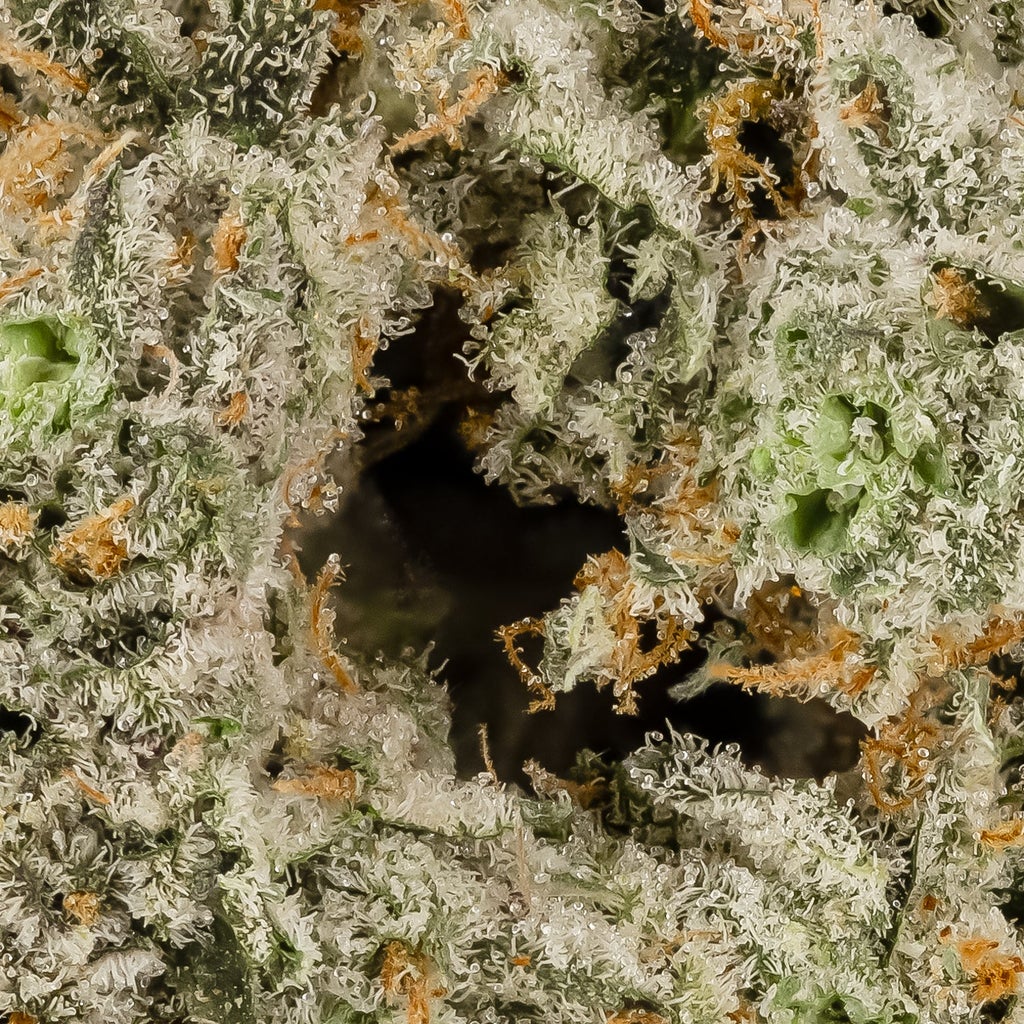 Hoot Cannabis - Purple Dragon