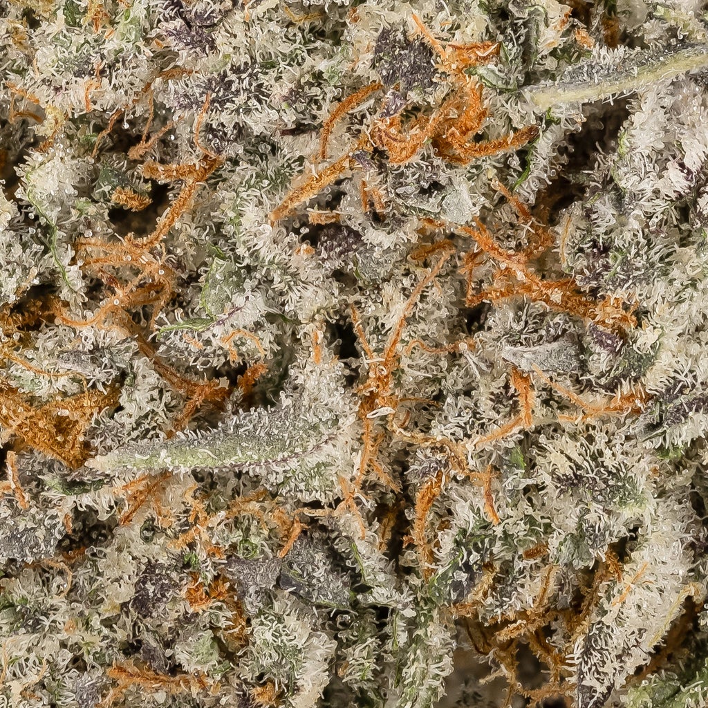 Hoot Cannabis - Purple Pineapple