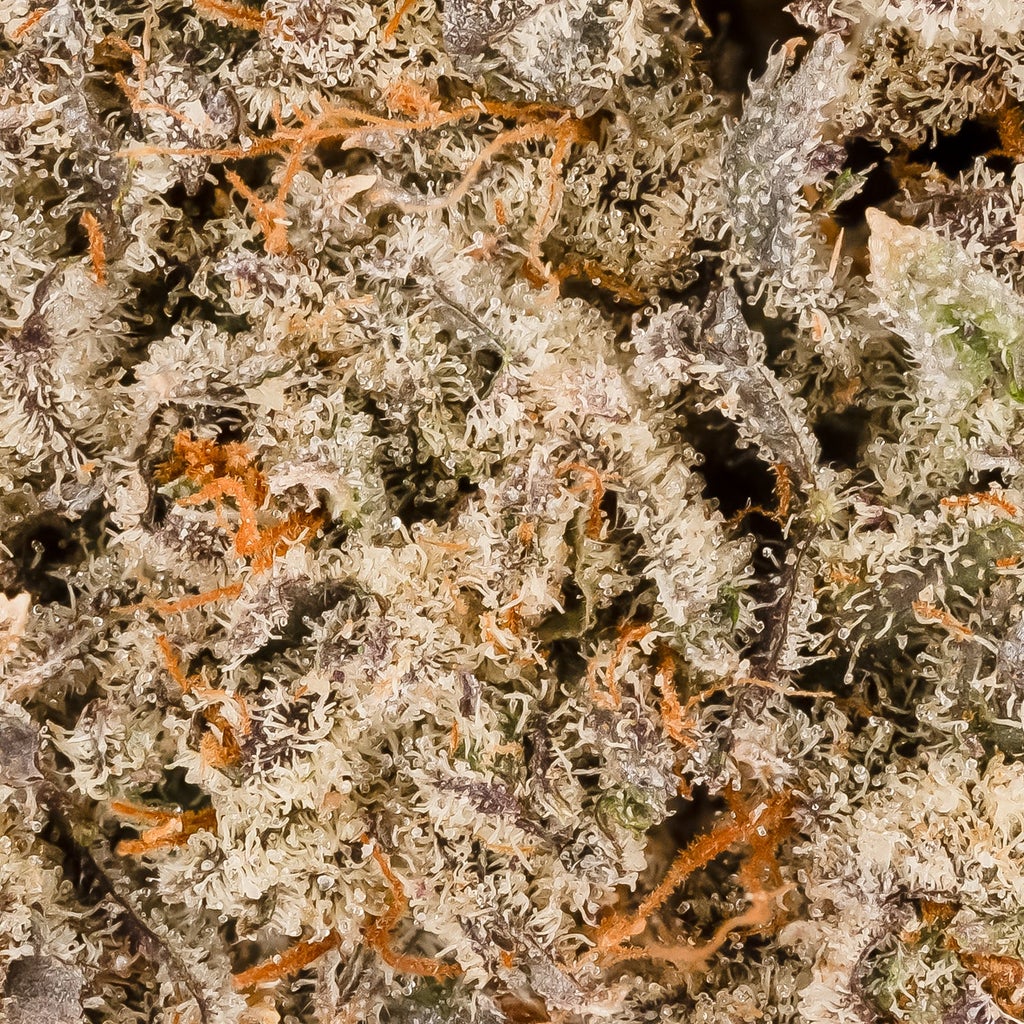 Hoot Cannabis - Slurricane