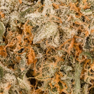 Hoot Cannabis - Strawberry Haze - Image 6