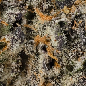 Hoot Cannabis - Tang Breath - Image 6