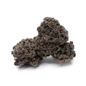 Hoot Cannabis - Triceratops - Image 4