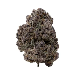 Hoot Cannabis - Triceratops - Image 2