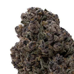 Hoot Cannabis - Triceratops - Image 5