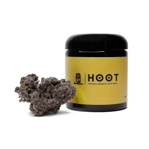 Hoot Cannabis - Triceratops - Image 1