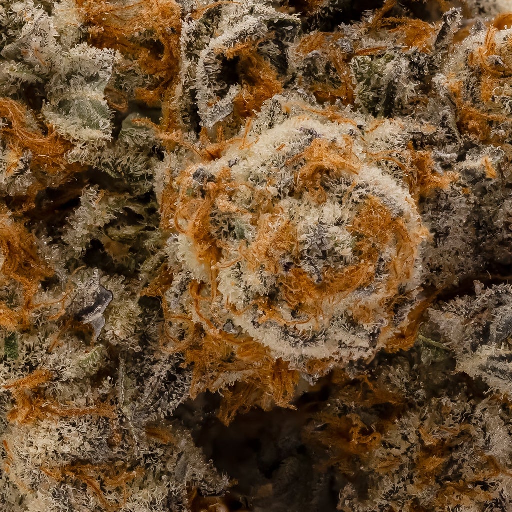 Hoot Cannabis - Zero Gravity