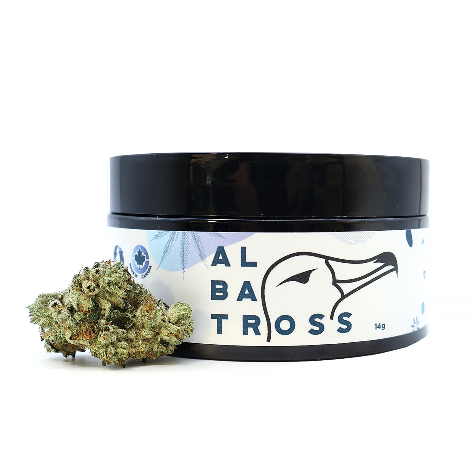 Albatross-Purple-Cali-OG-7